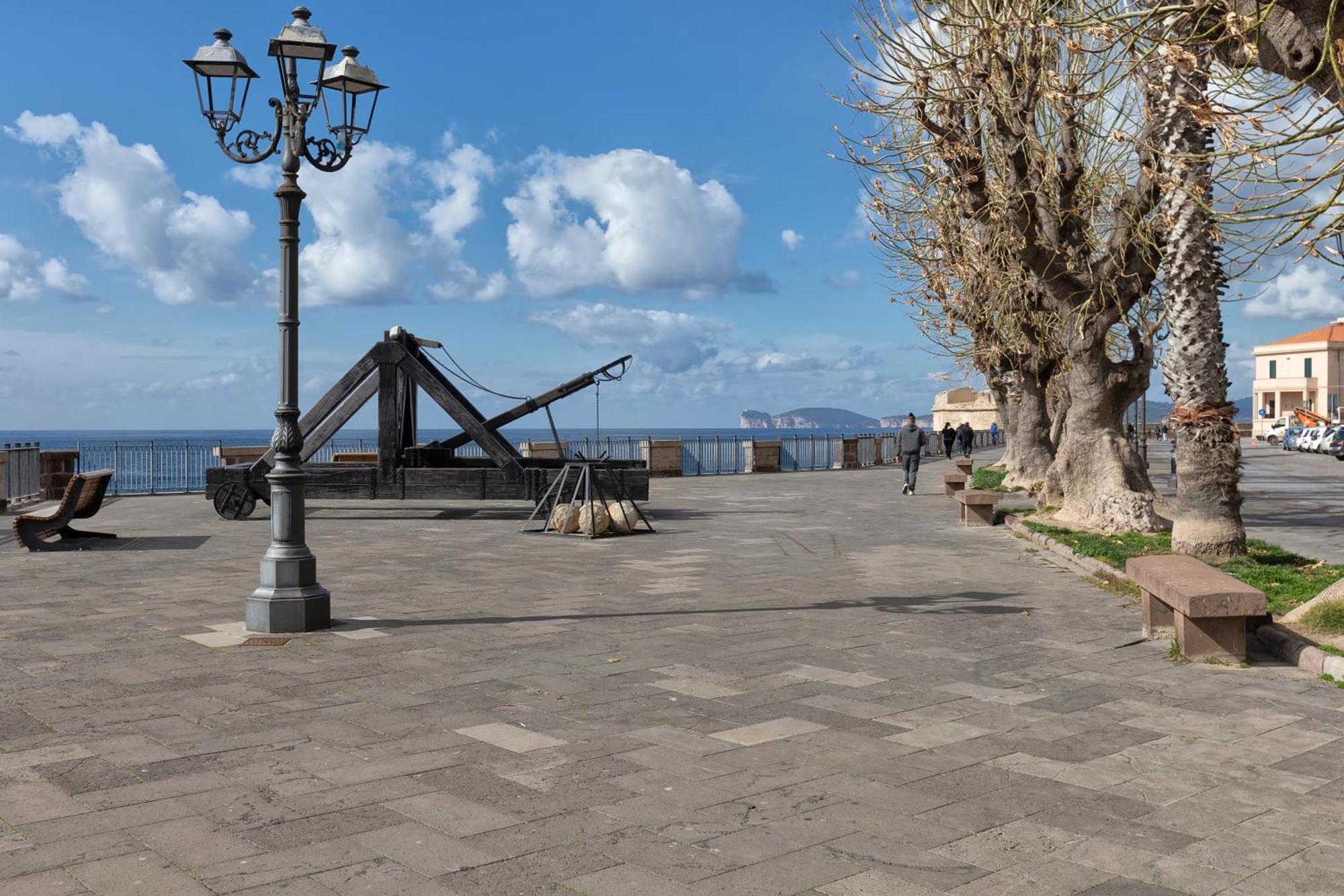 Nima * Alghero